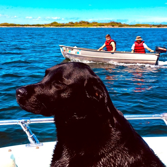 Meet your Posher, Margo - Picture 1 of 2